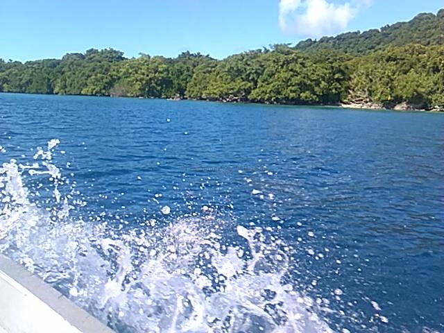 Dion island at Santo, photo 2 sur 7