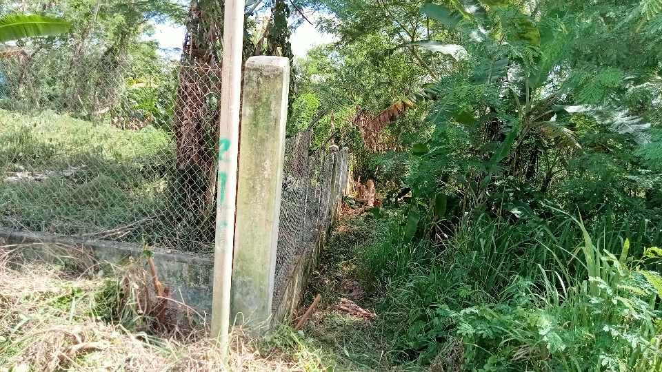 Prime Land for Sale in Luganville, Santo, photo 2 of 8
