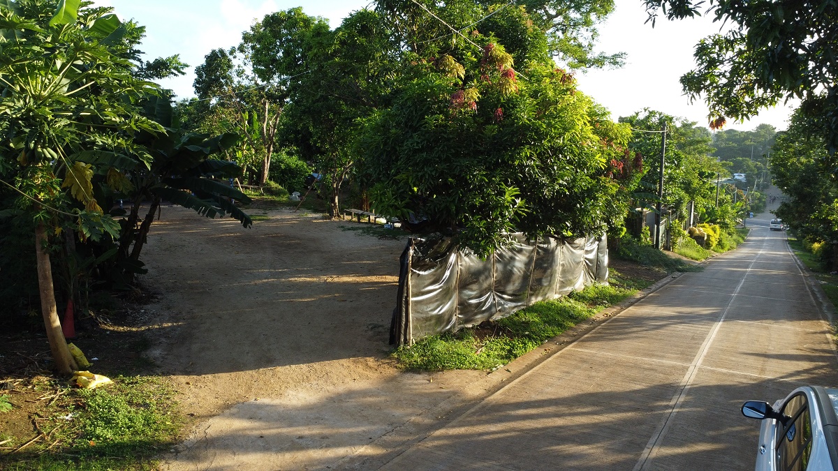 Land for sale, photo 2 of 4