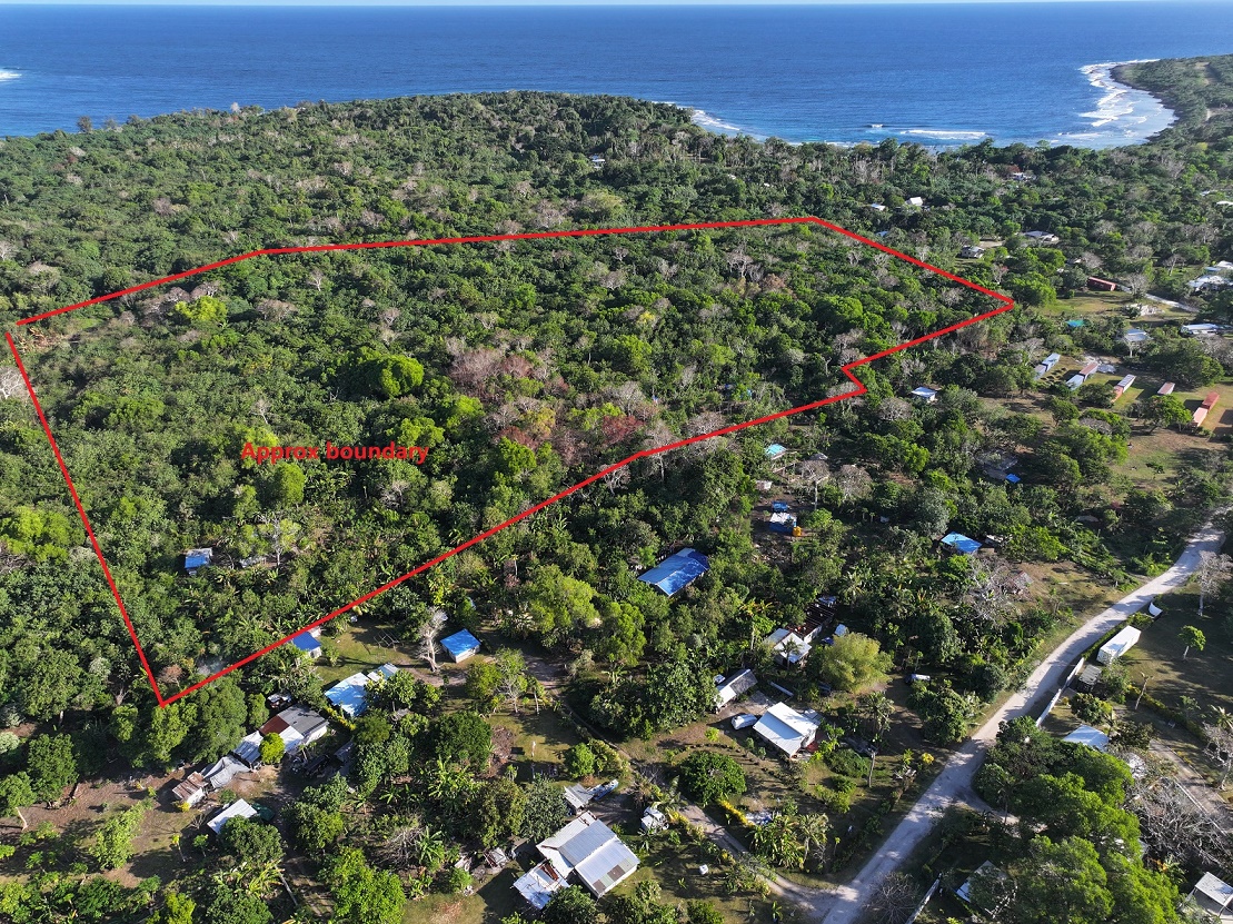 LARGE LANDHOLDING FOR SALE, photo 2 sur 2