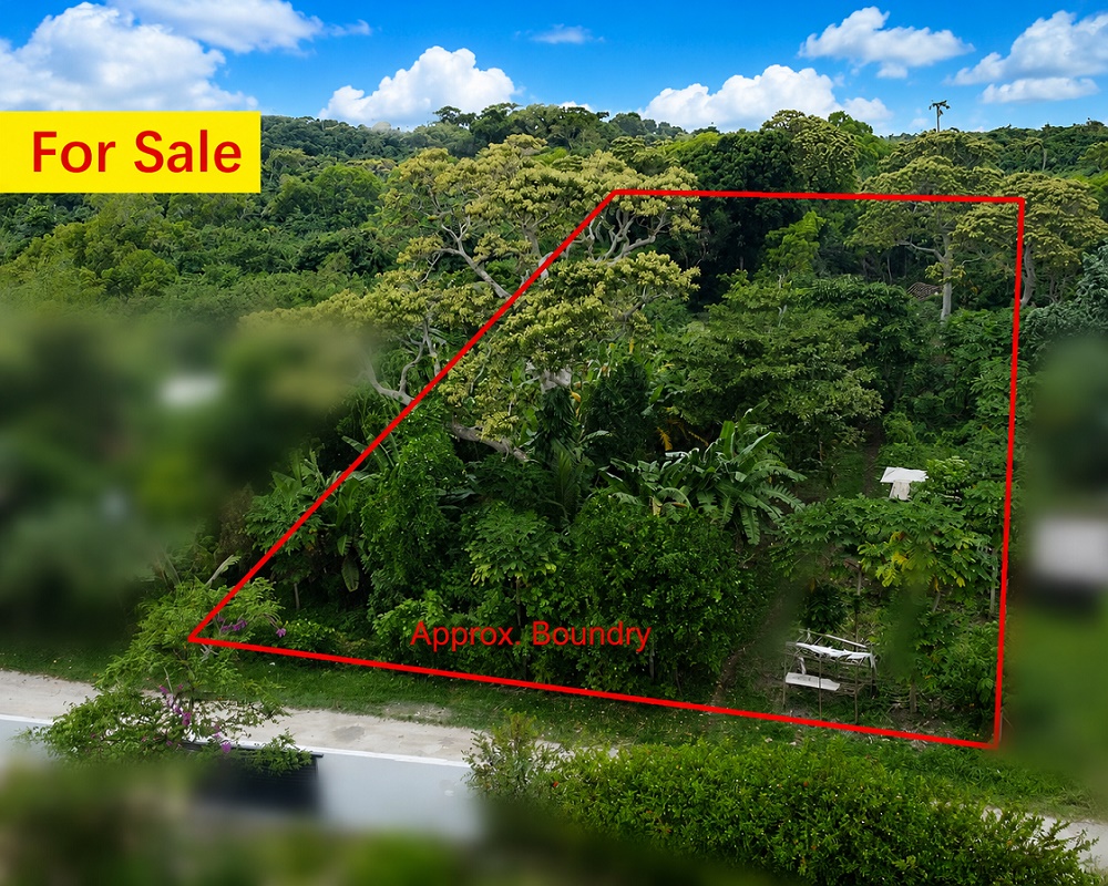 New Land for Sale, photo 1 of 5
